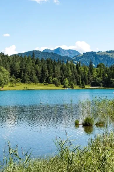 See im Sonnenschein vor Wald und Bergen