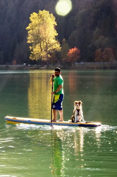 Mann und Hund auf Stand Up Paddle im See